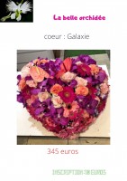 /album/galerie-de-photos-deuil/la-belle-orchidee-8-jpg/